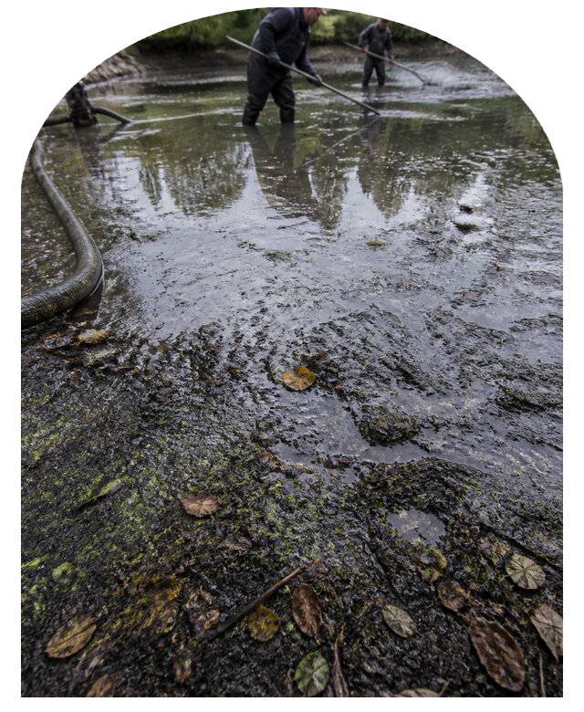 Очистка пруда в Старой Руссе от ила мусора и водорослей с вывозом